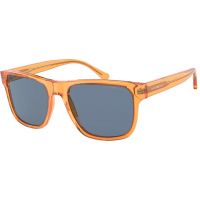Ochelari de soare barbati Emporio Armani EA4163 588380