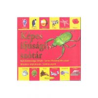Kepes ifjusagi szotar (Dictionar vizual pentru cei mici)