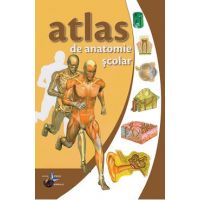 Atlas de anatomie scolar