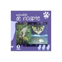 Animalele de noapte
