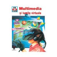 Ce si cum - Multimedia si lumile virtuale - Andreas Schmenk