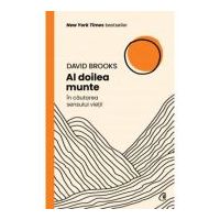 Al doilea munte - David Brooks