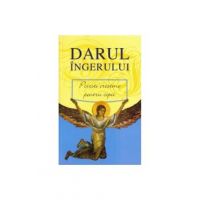 Darul Ingerului 2008