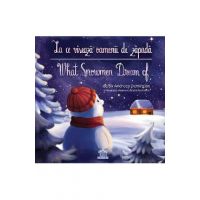 La ce viseaza oamenii de zapada. What Snowmen Dream of - Andreea Demirgian