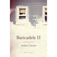 Baricadele II | Andrei Craciun