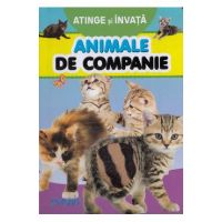Atinge si invata. Animale de companie