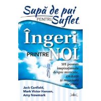 Supa de pui pentru suflet. Ingeri printre noi - Jack Canfield, Mark Victor Hansen, Amy Newmark