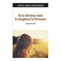 De la intristarea inimii la mangaierea lui Dumnezeu. Scrisori catre mireni -Sf. Ignatie Briancianinov