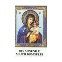 Din minunile Maicii Domnului - Agapie