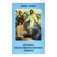 Invierea fiului vaduvei din Nain. Thomas - Vasile Marcu