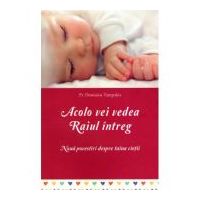 Acolo vei vedea Raiul intreg. Noua povestiri despre taina vietii - Dionisios Tampakis