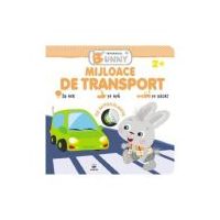 Mijloace de transport. Iepurasul Bunny