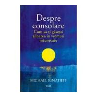 Cum sa-ti gasesti alinarea in vremuri intunecate - Michael Ignatieff