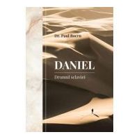 Daniel. Drumul sclaviei - Paul Boeru