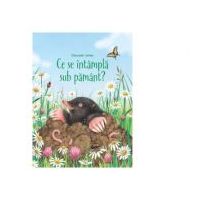 Ce se intampla sub pamant (Usborne) - Emily Bone