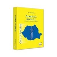 Dreptul muncii. Curs universitar. Editia a 3-a - Nicolae Ros