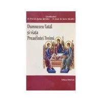 Dumnezeu–Tatal si viata Preasfintei Treimi - Stefan Buchiu