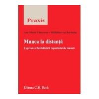 Munca la distanta. Expresie a flexibilizarii raportului de munca - Ana-Maria Vlasceanu, Madalina Ani Iordache