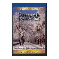 Durerea este in sufletul tau - Al saselea volum din Seria Invata sa te ierti (Luule Viilma)