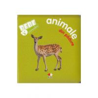 Bebe invata - Animale din padure