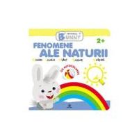 Fenomene ale naturii. Iepurasul Bunny