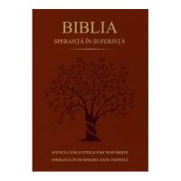 Biblia. Speranta in suferinta, Coperta maro