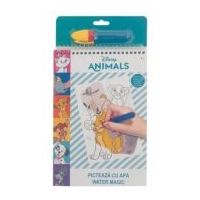 Set Picteaza cu apa - Animale Disney Magic Water