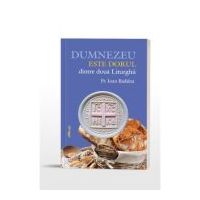 Dumnezeu este dorul dintre doua liturghii - Pr. Ioan Badilita