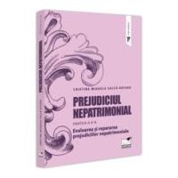 Prejudiciul nepatrimonial. Partea a 2-a. Evaluarea si repararea prejudiciilor nepatrimoniale - Cristina Mihaela Salca Rotaru