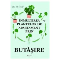 Inmultirea plantelor de apartament prin butasire - Celine, I Do It Myself