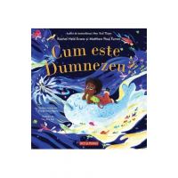 Cum este Dumnezeu? - Rachel Held Evans, Matthew Paul Turner