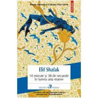 10 minute si 38 de secunde in lumea asta stranie - Elif Shafak