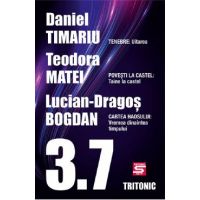 3.7. Povestiri - Daniel Timariu, Teodora Matei, Lucian-Dragos Bogdan