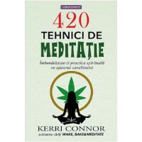 420 tehnici de meditatie - Kerri Connor