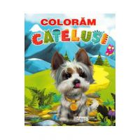 Coloram catelusi