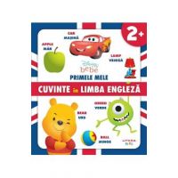 Disney Bebe. Primele mele cuvinte in limba engleza