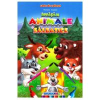 Invatam animale salbatice romana-engleza B5 - Carte de colorat