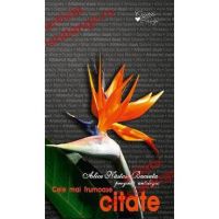 Cele mai frumoase citate - Alice Nastase Buciuta