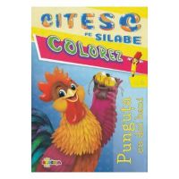 Citesc pe silabe, colorez. Punguta cu doi bani