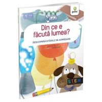 Din ce e facuta lumea? Descopera starile de agregare - David A. Adler