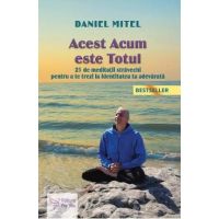Acest acum este totul - Daniel Mitel