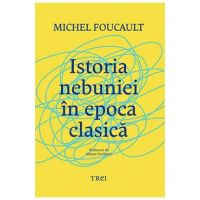 Istoria nebuniei in epoca clasica - Michel Foucault