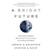 A Bright Future: How Some Countries Have Solved Climate Change and the Rest Can Follow - Joshua S. Goldstein
