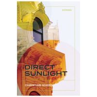Direct Sunlight: Stories - Christine Sneed