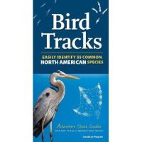 Bird Tracks: Easily Identify 55 Common North American Species - Jonathan Poppele