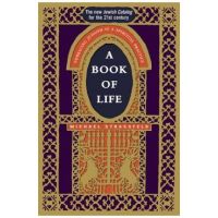 A Book of Life: Embracing Judaism as a Spiritual Practice - Michael Strassfeld