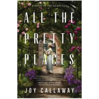 All the Pretty Places: A Novel of the Gilded Age - Joy Callaway