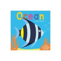 Now You See It! Ocean - Sarah Dellow