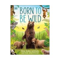 Born to Be Wild - Dk