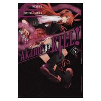 Akame Ga Kill